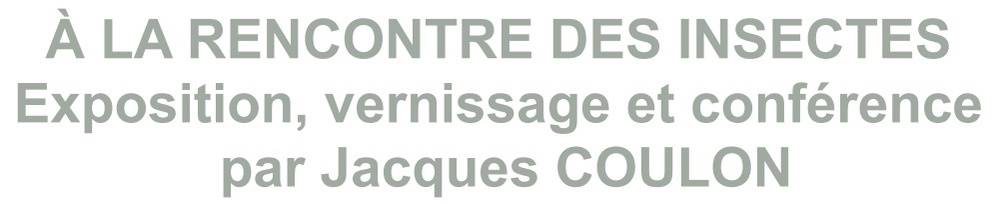 AGUPE Rencontre Des Insectes