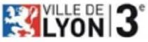 Lyon 3 Logo